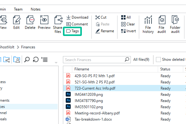 Select a file and click Tags in the main ribbon.